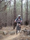 Trail side hazards